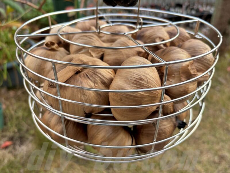 カゴにぎっしり入った完成直後の写真