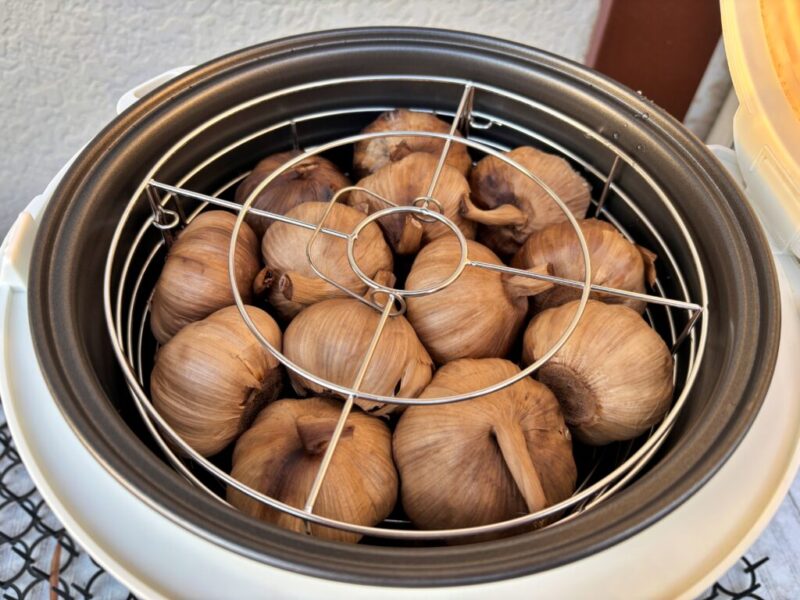 黒ニンニクメーカーのフタを開けて熟成状態を確認する様子