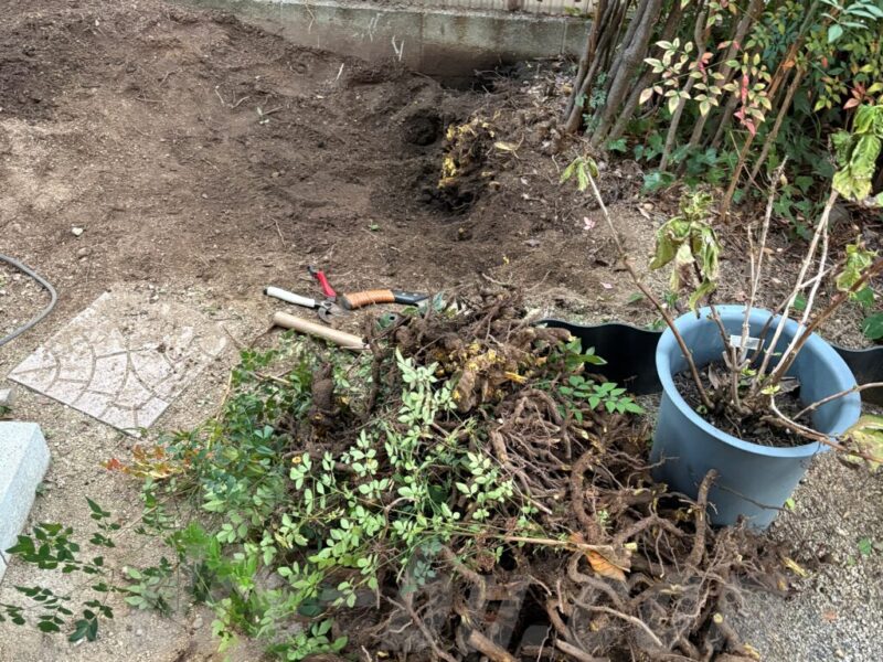 物置移設前に植木の根を掘り起こしている伐根作業
